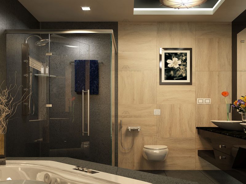 bathroom designs in kerala